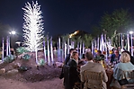 0775dinner_on_the_desert