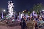0776dinner_on_the_desert