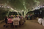 0786dinner_on_the_desert