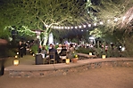 0790dinner_on_the_desert