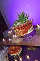 0841dinner_on_the_desert