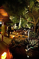 desert-botanical-gardens-dinner-on-the-desert-phoenix-2009-23