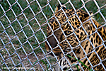 38 IMG_1612 LR LR