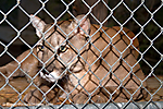 66 IMG_1696 LR LR