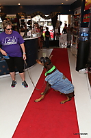 IMG_0198