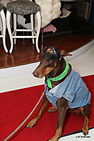 IMG_0202
