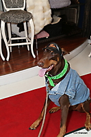 IMG_0204