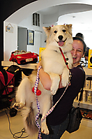 DogDayFinale_19