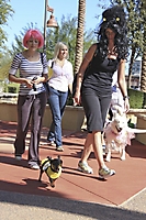 dogathon-2009-scottsdale_72