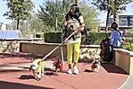 dogathon-2009-scottsdale_73