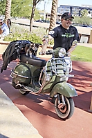 dogathon-2009-scottsdale_80