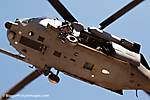 24 IMG_3845 LR LR