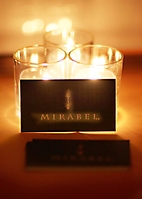 networking-mixer-at-mirabel-carefree-arizona-2010_22