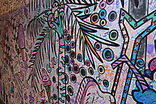 DSC00064