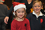 Princess Tree Lighting AZ-19