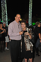 Princess Tree Lighting AZ-23