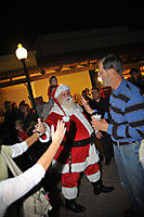 Princess Tree Lighting AZ-53