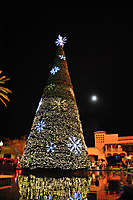 Princess Tree Lighting AZ-55