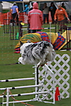 IMG_0227