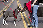 A_IMG_5120 LR