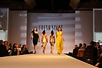 fresh-start-fashion-gala-scottsdale-2010_72