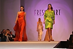 fresh-start-fashion-gala-scottsdale-2010_91