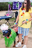gabriels-angels-doggie-beach-party-tempe-2010_20
