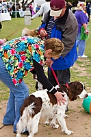 gabriels-angels-doggie-beach-party-tempe-2010_67