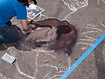 glendale-arzizona-via-colori-street-painting-festival-and-art-show-2010_35
