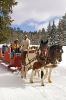 Greer Lodge Winter Road Trip
