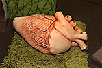 img_1320-01