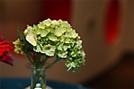 img_1809-01