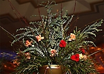 zimg_1303-12
