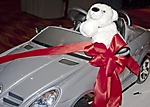 historical-league-childrens-holiday-party-and-luncheon-scottsdale-2009_02