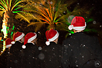Holiday Snowfall Showcase (59 of 66)