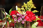 img_0169-01