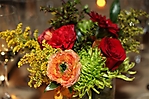 zimg_0093-1