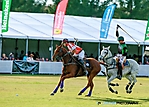 AFM Polo 11