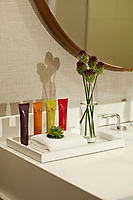 Palomar Phx Etro by John Ellis-small - Copy