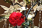 img_0164-01