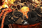 img_0260-01