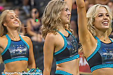 15 IMG_7273-denoise-denoise