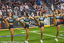 IMG_7220-denoise-denoise