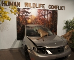 IWM_31