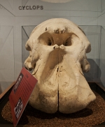 IWM_36