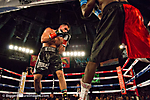 7 IMG_8331 LR LR
