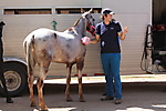 Junior Polo Clinic (II)