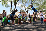 IMG_2955