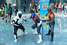 IMG_4977
