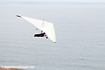 IMG_7114 LR LR